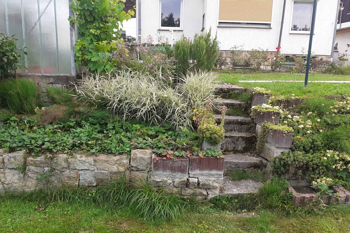 Garten- und Landschaftsbau in Bad Schandau OT Ostrau - Mauer-und Treppenbau vorher
